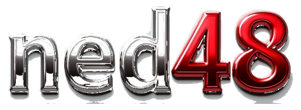 ned48 logo